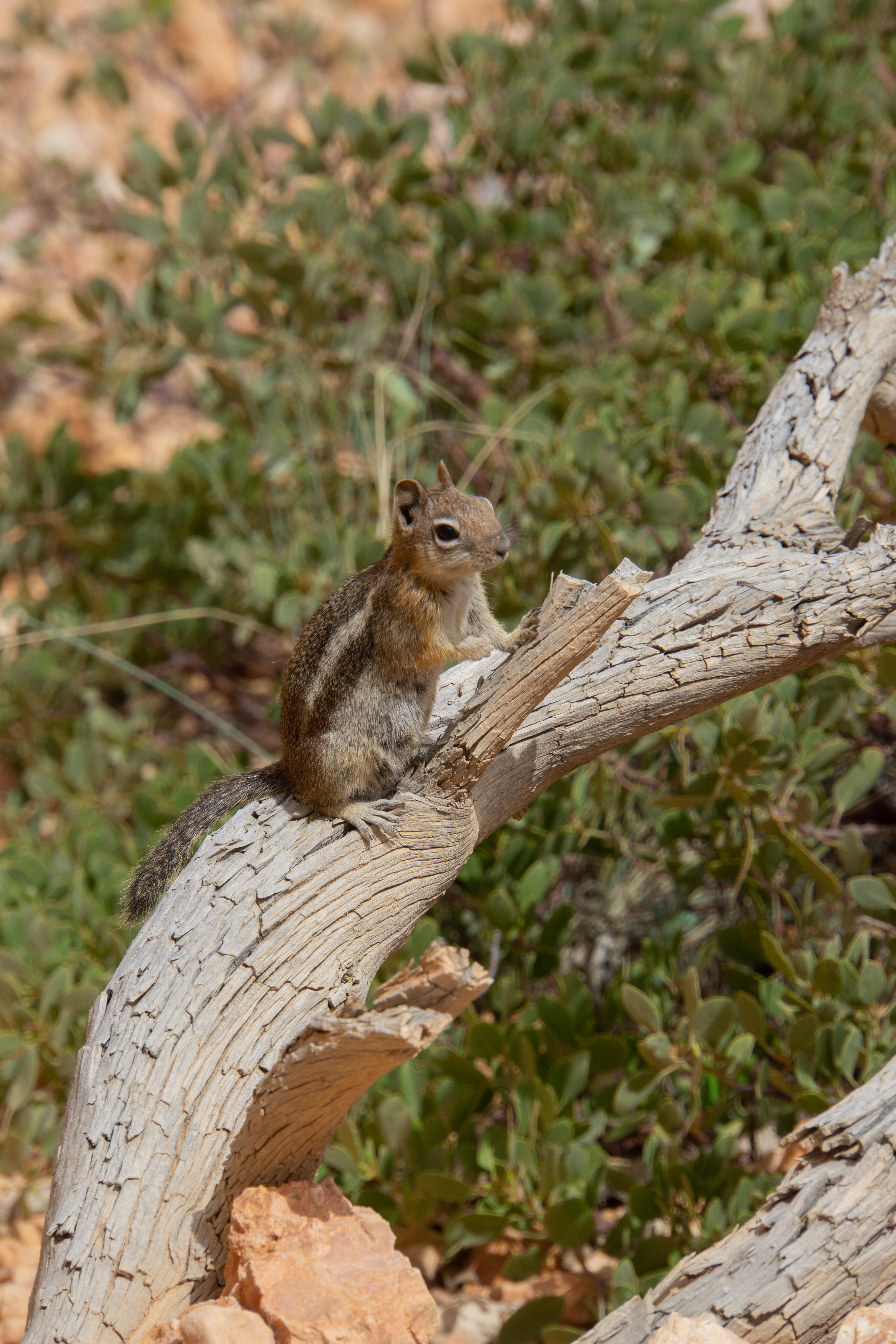 US National Parks 2022 11